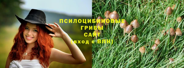 круглые Богданович