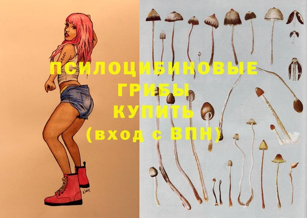 ПСИЛОЦИБИНОВЫЕ ГРИБЫ Бугульма