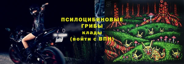 ПСИЛОЦИБИНОВЫЕ ГРИБЫ Бугульма