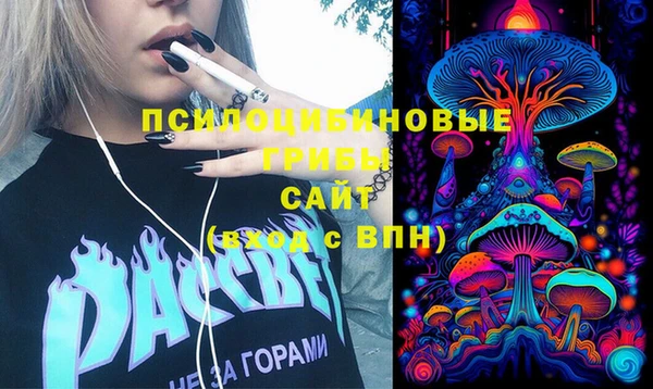 ПСИЛОЦИБИНОВЫЕ ГРИБЫ Бугульма