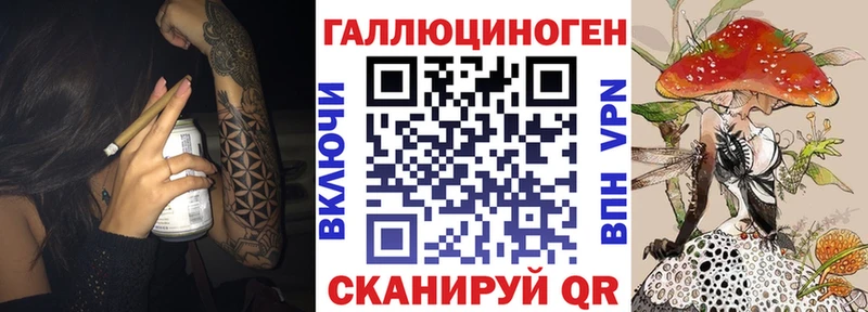 Псилоцибиновые грибы Psilocybe  KRAKEN ссылки  Пионерский 